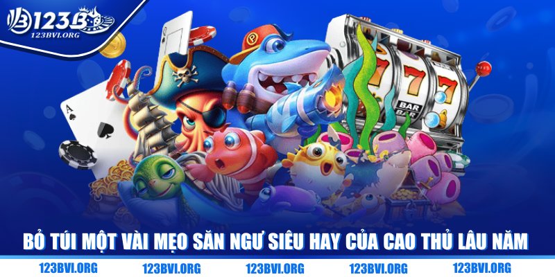 Bỏ túi một vài mẹo săn ngư siêu hay của cao thủ lâu năm